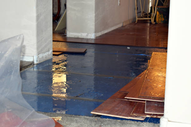 Professional Burst Pipe Cleanup technician working in Byron, GA